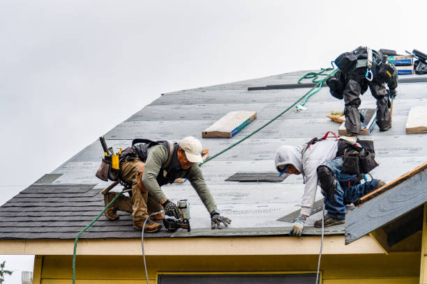 Professional Gutter Installation technician working in Edinburg, TX